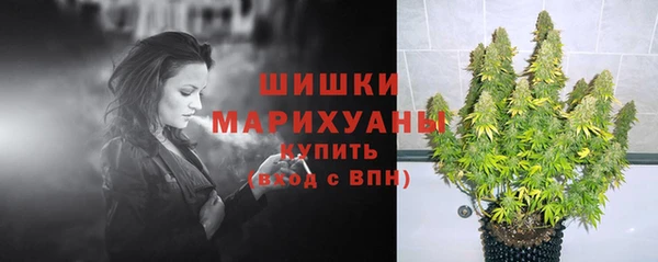 индика Михайлов