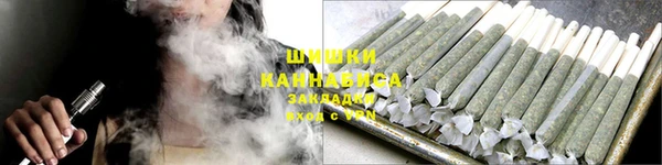 индика Михайлов