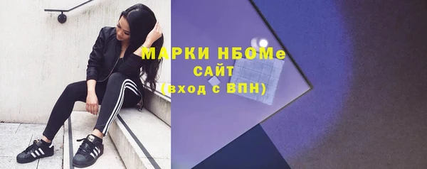 индика Михайлов