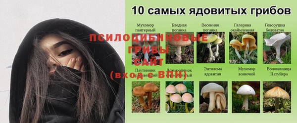 каннабис Ступино