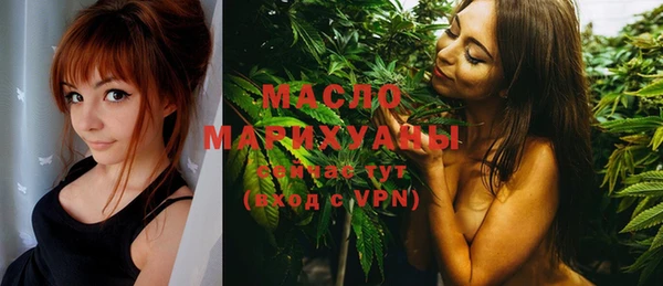 индика Михайлов
