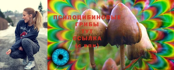соль ск Михайловка