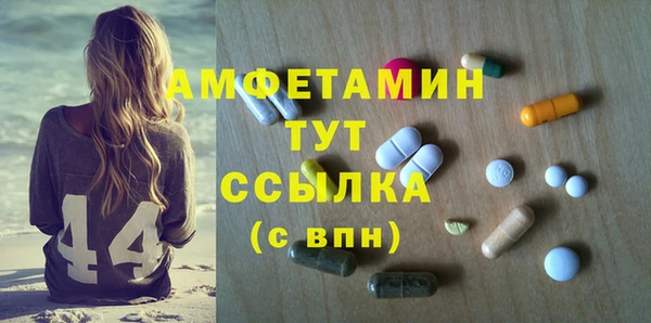 индика Михайлов