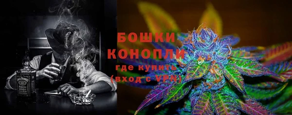 индика Михайлов