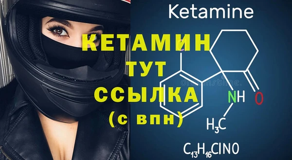индика Михайлов