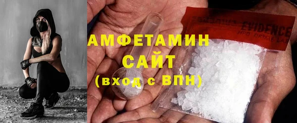индика Михайлов