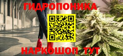 прущие грибы Абакан