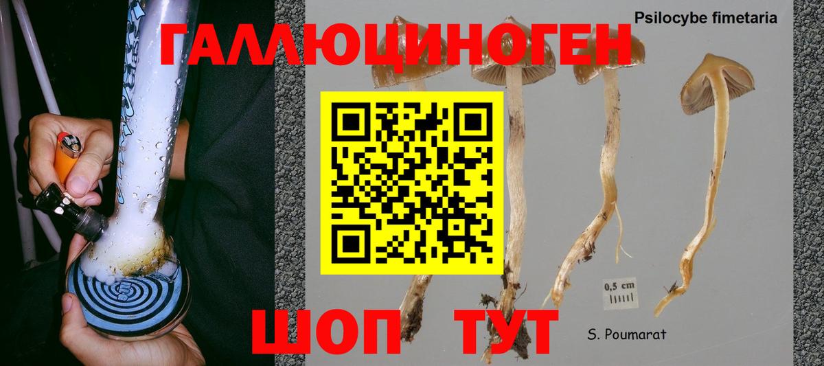 ГАШ  Кетамин  Где купить наркотики?  NBOMe  Меф МЯУ МЯУ кристаллы  Белореченск  Канабис  Вход с VPN 