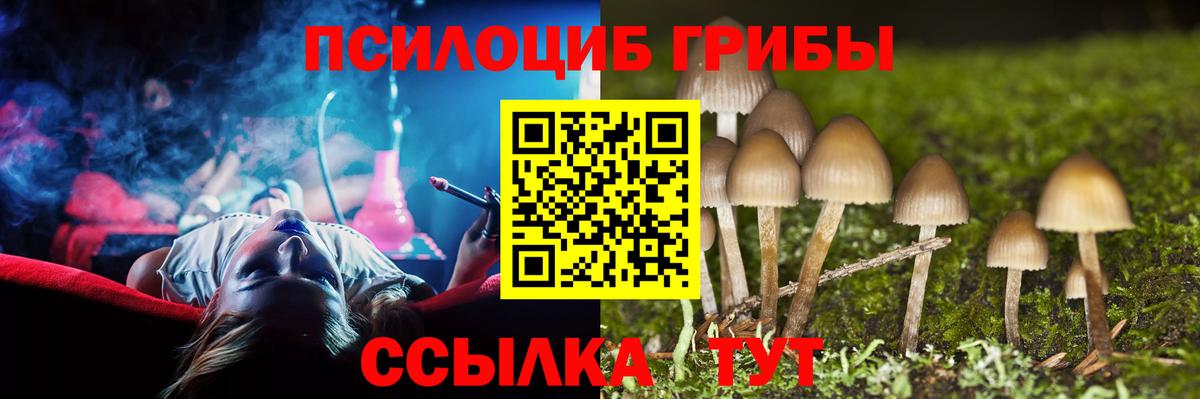 Белореченск  Галлюциногенные грибы Psilocybine cubensis  Вход с VPN 